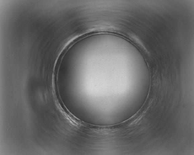 X0000060740932200511100908