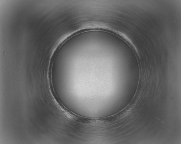 X0000060740943200511100908