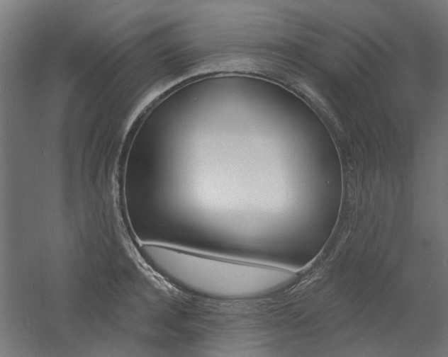 X0000060740944200511100908
