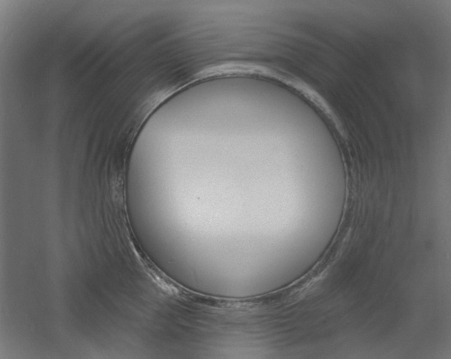 X0000060740953200511100908