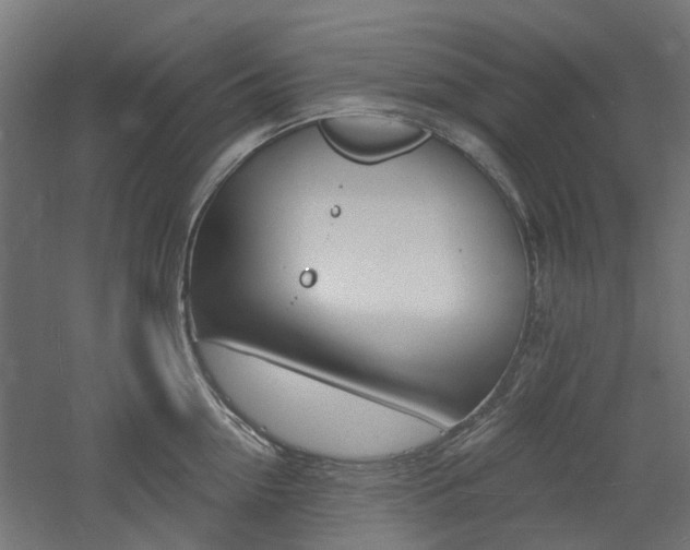 X0000060740954200511100908