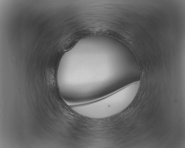 X0000060740963200511100907