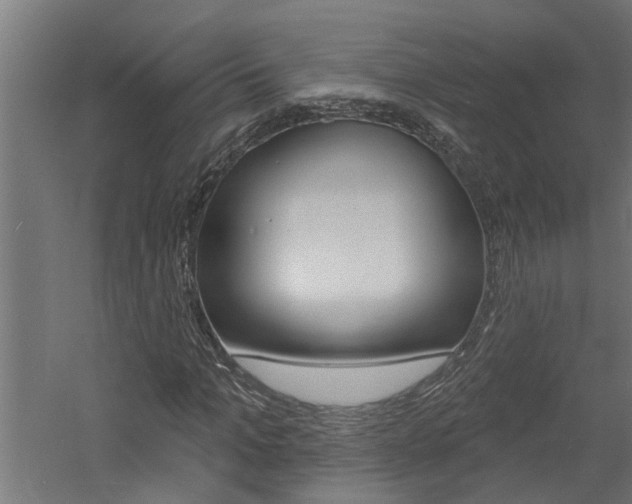 X0000060740965200511100907