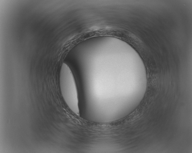 X0000060740966200511100907