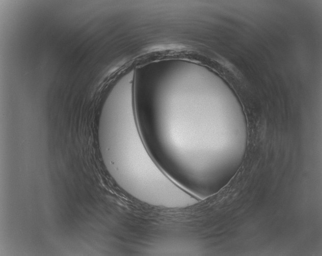 X0000060740967200511100907