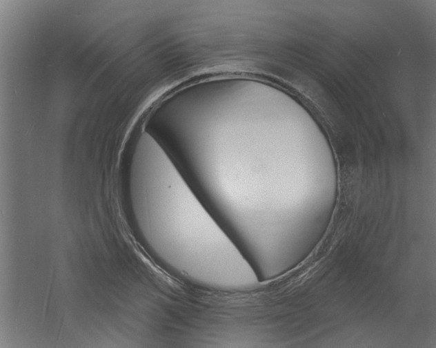 X0000060740982200511100907