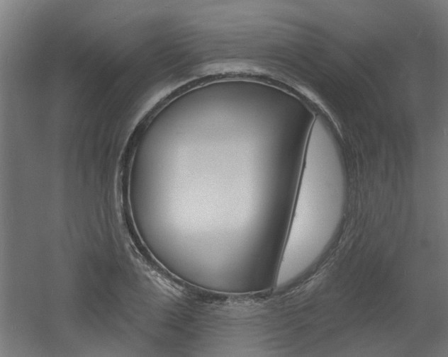 X0000060740983200511100907