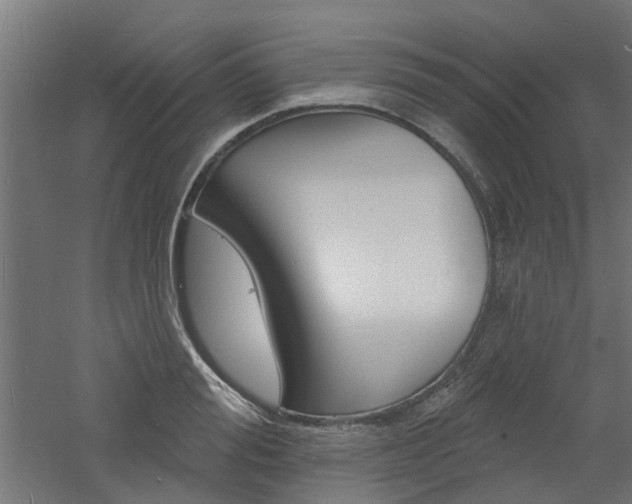X0000060740988200511100907