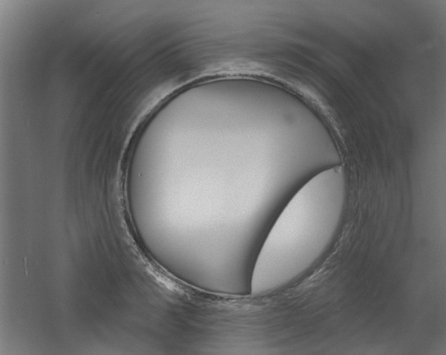 X0000060740990200511100907