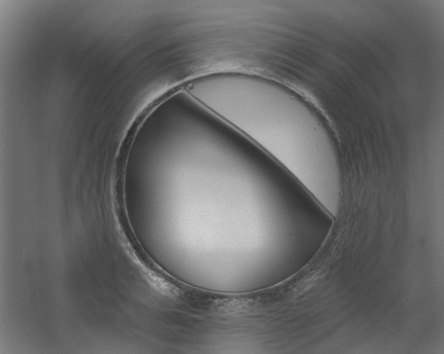 X0000060740991200511100907