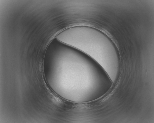 X0000060740993200511100907