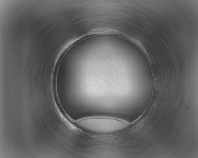 X0000060740995200511100907