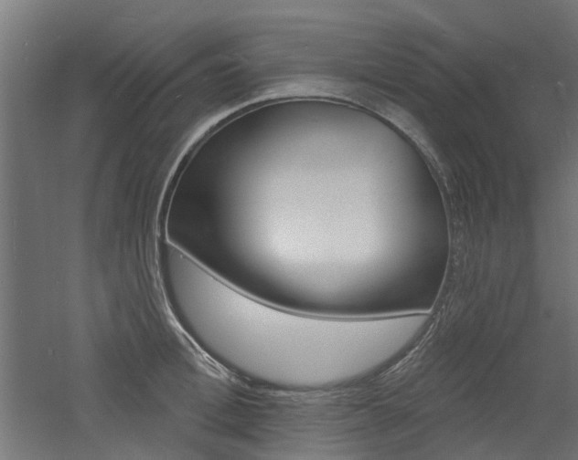X0000060740996200511100907