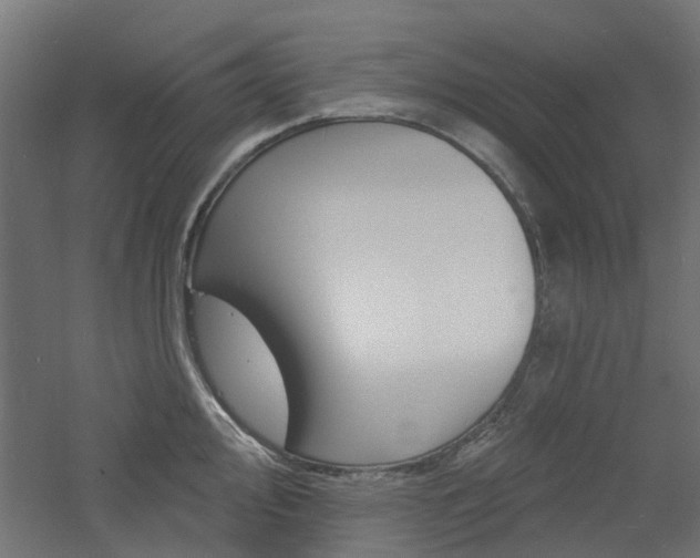 X0000060741000200511100907