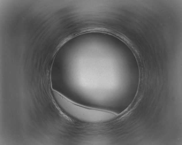 X0000060741001200511100907