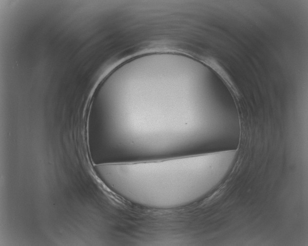 X0000060741004200511100906