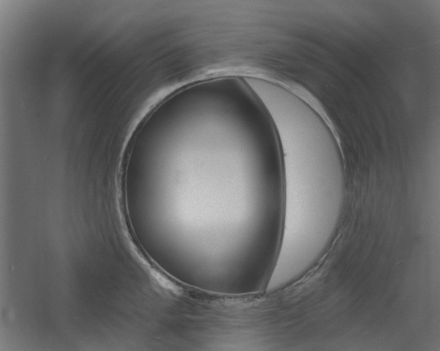 X0000060741005200511100906