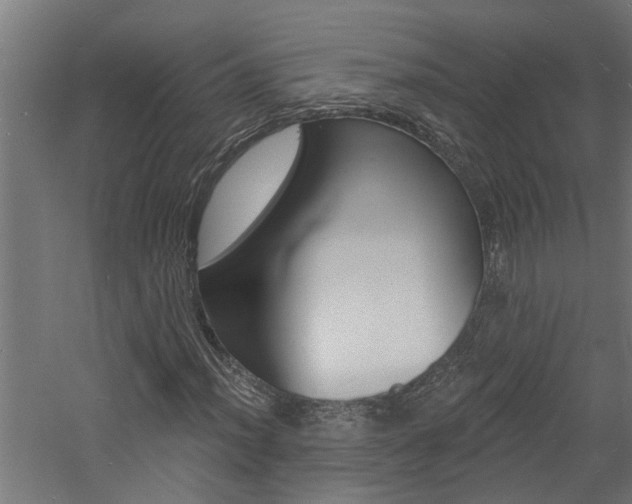 X0000060741012200511100906