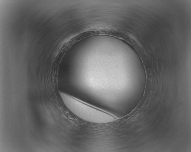 X0000060741016200511100906