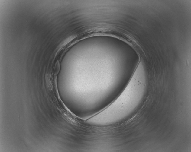 X0000060741018200511100906