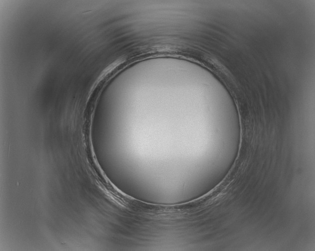 X0000060741026200511100906