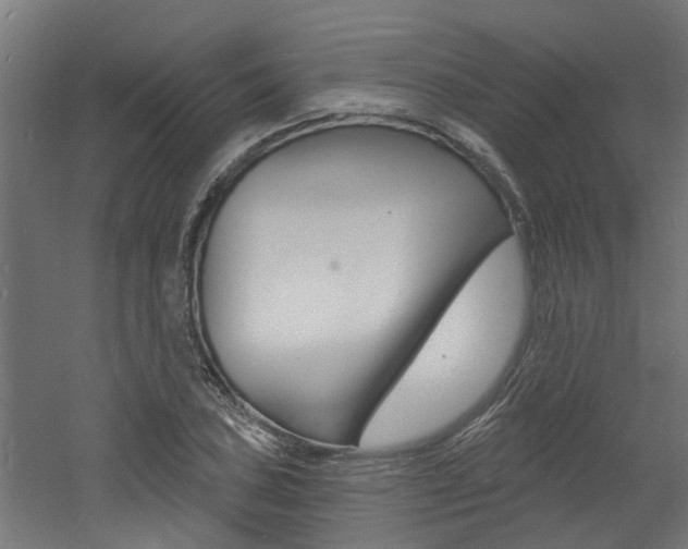 X0000060741027200511100906