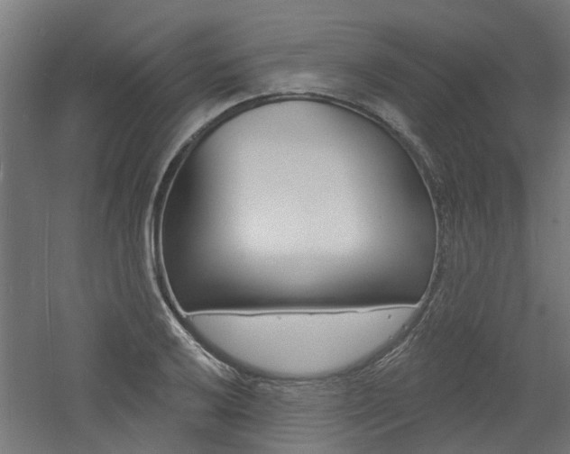 X0000060741032200511100906