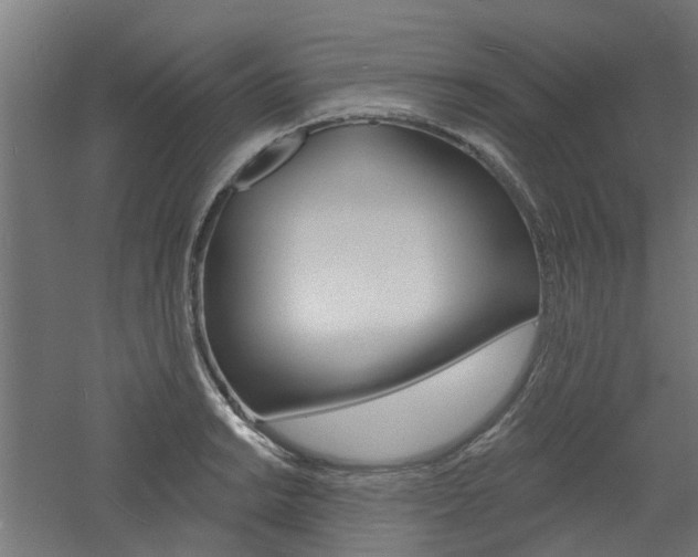 X0000060741038200511100906
