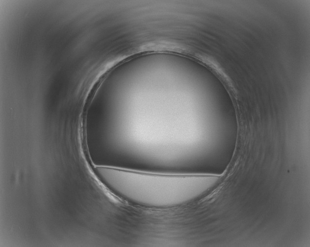 X0000060741040200511100906