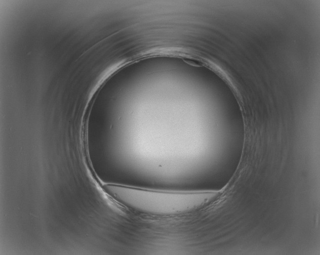 X0000060741050200511100906