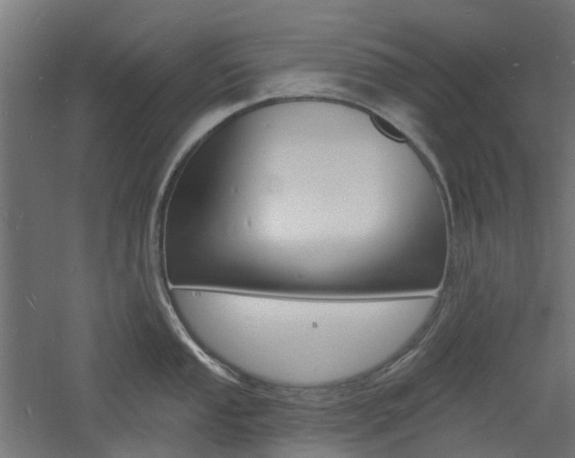 X0000060741053200511100906