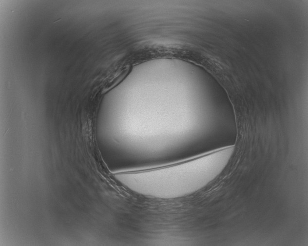 X0000060741061200511100906