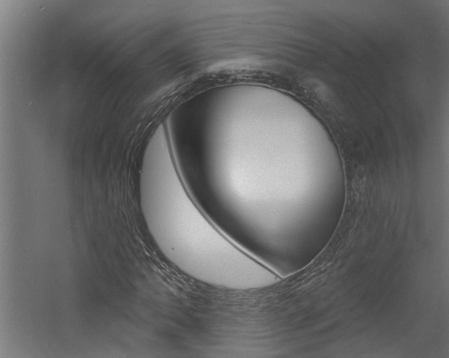 X0000060741062200511100906