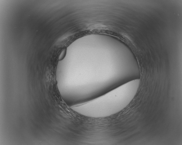 X0000060741063200511100905
