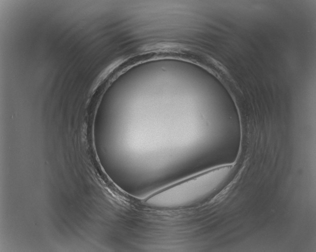 X0000060741066200511100905