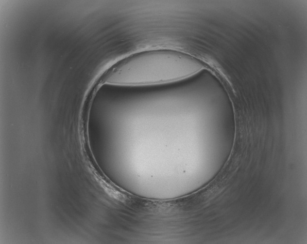 X0000060741072200511100905