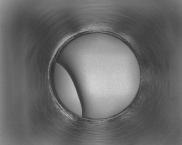 X0000060741078200511100905