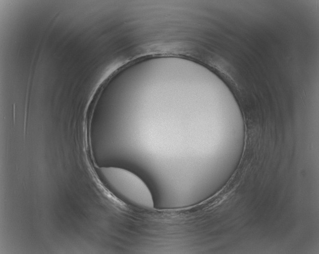 X0000060741079200511100905