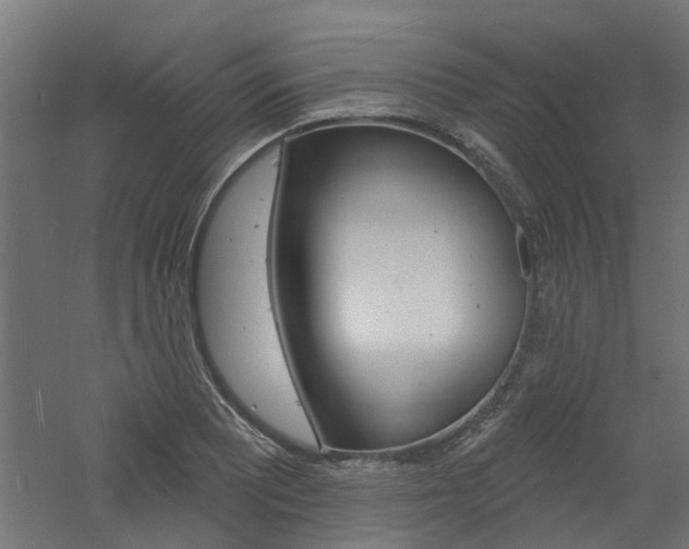 X0000060741081200511100905