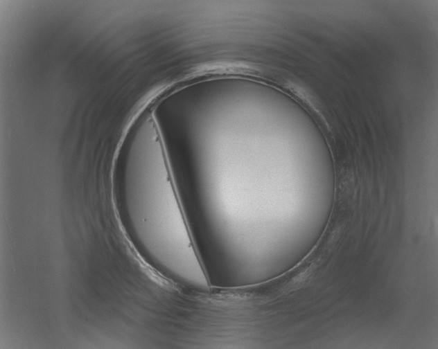 X0000060741082200511100905