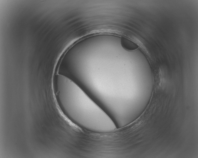 X0000060741084200511100905