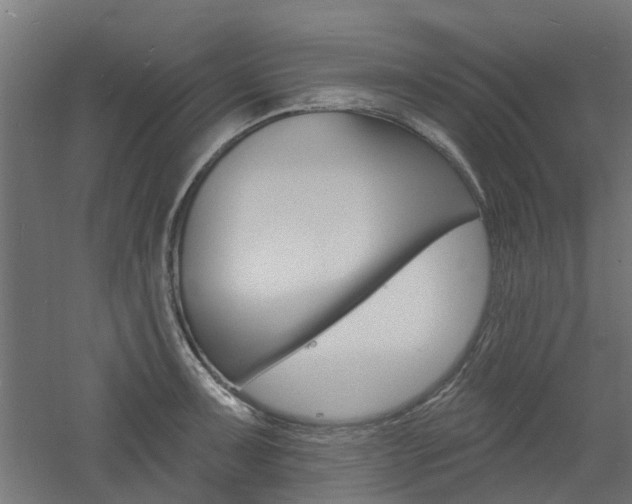 X0000060741091200511100905