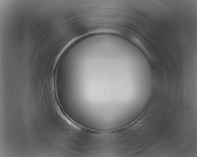 X0000060741092200511100905