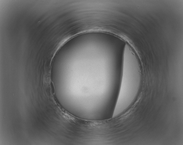 X0000060741097200511100905