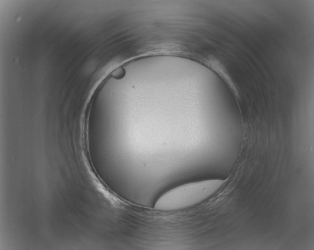 X0000060741099200511100905