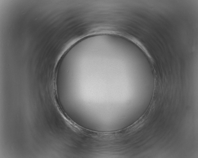 X0000060741101200511100905