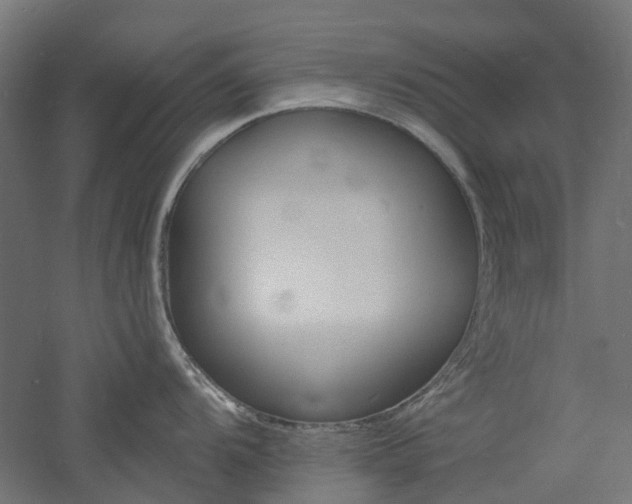 X0000060741104200511100905