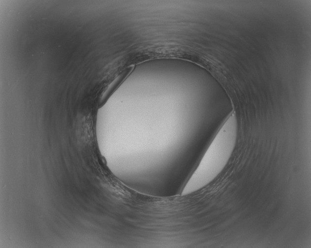 X0000060741107200511100904