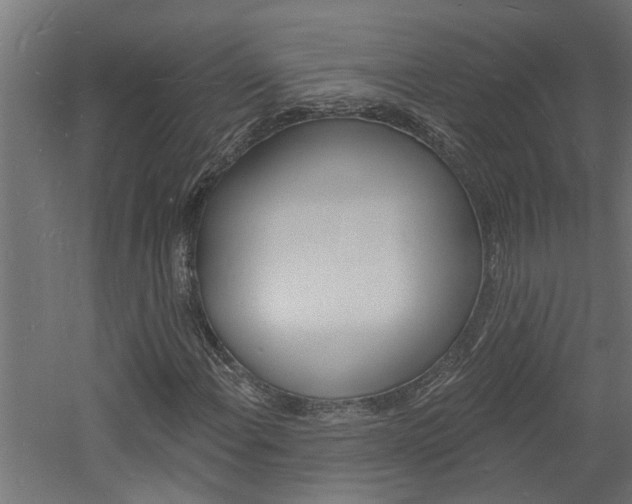 X0000060741108200511100904