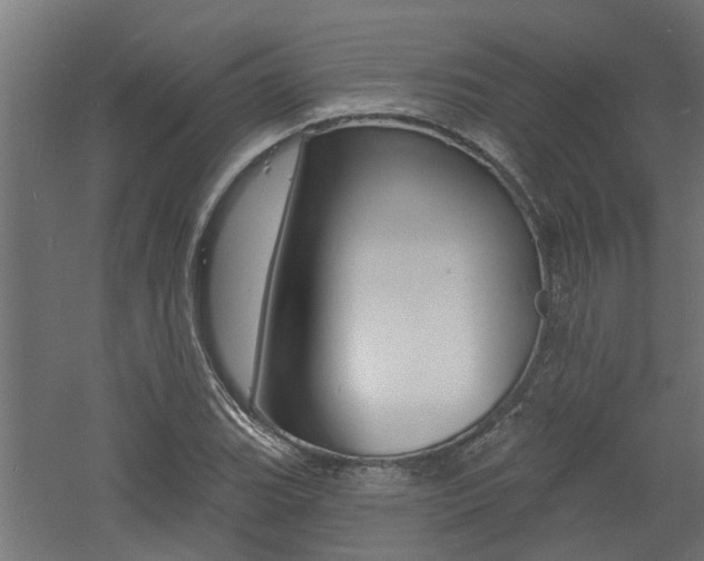 X0000060741119200511100904